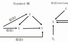 安卓版cohabitation结局Deliverance拯救安卓汉化版